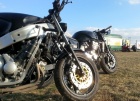 Burning Days 2012